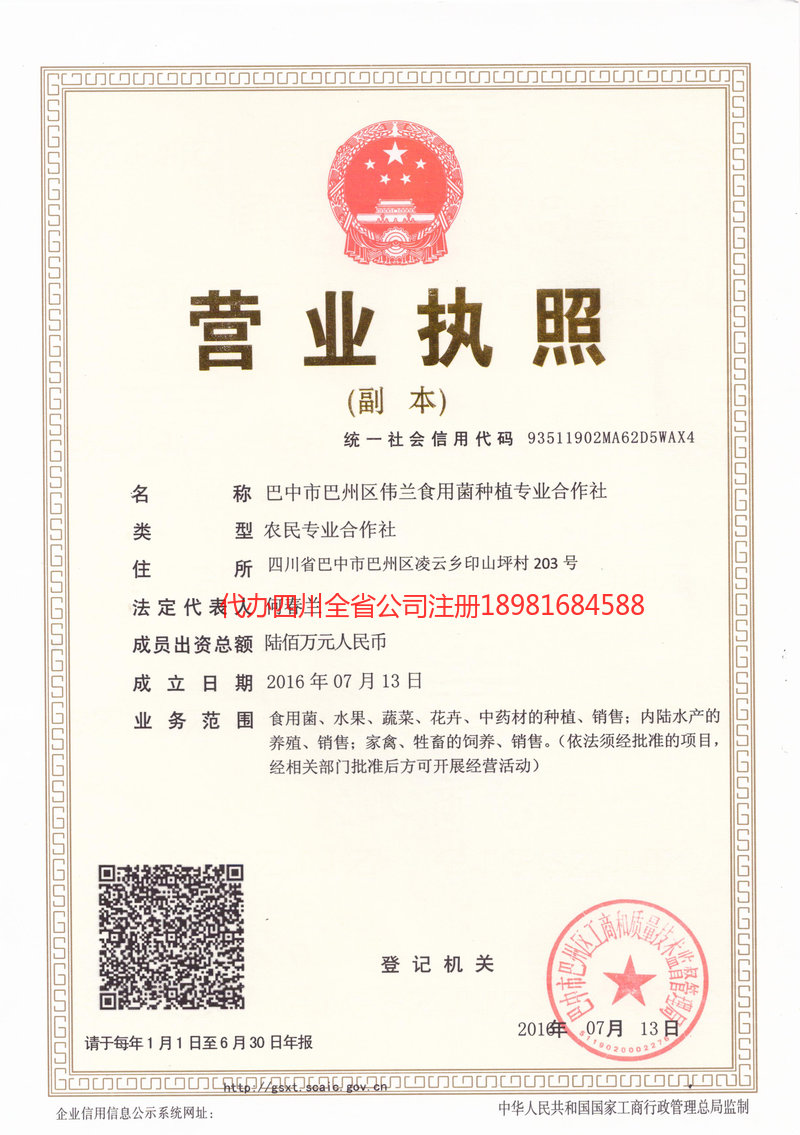 德州德州伟兰食用菌种植专业合作社